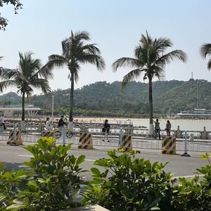 量子纠缠的恋人