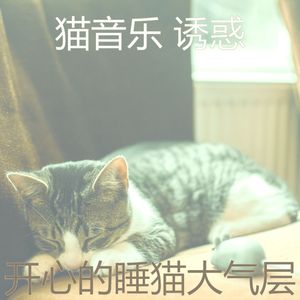 精彩小猫环境
