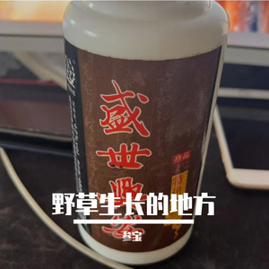 岁月里的浪漫旅程