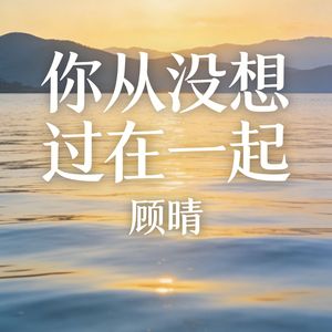 你从没想过在一起(伴奏)