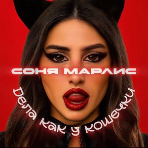 Дела как у кошечки