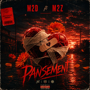 PANSEMENT