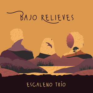 Las manos del guitarrero