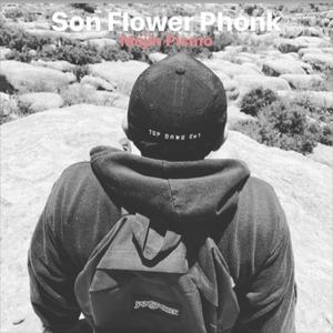 What's A Stone To A Sample?