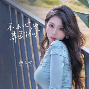 不小心弄丢了你