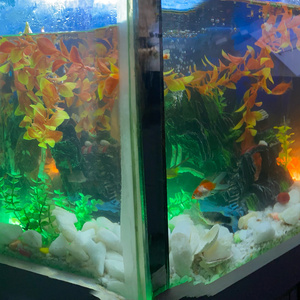 MUDI YODI (2023 Remastered Version)