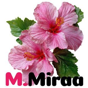 春風に舞う花びら (韓国語)