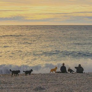 复件(0) 爱上你是一个错 (1)