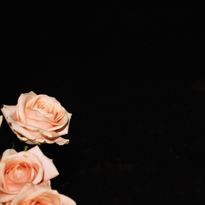 When the World Ends (I Want to be With You)