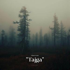 Tajga (feat. Grdan)