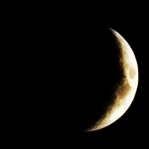 이제는.....(BONUS)