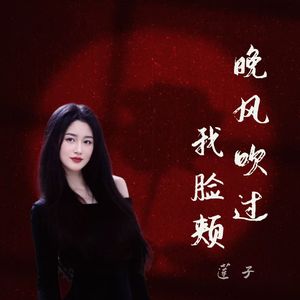 晚风吹过我脸颊