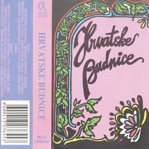 Prosto Zrakom Ptica Leti