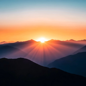 Floating Leaves Gentle Sway