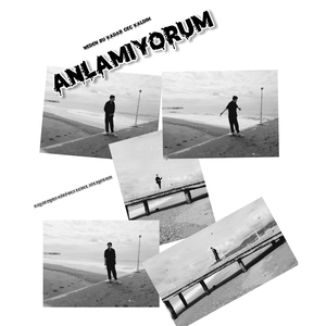 ANLAMIYORUM