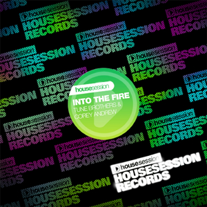 Into the Fire (Disfunktion Remix)