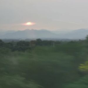所有