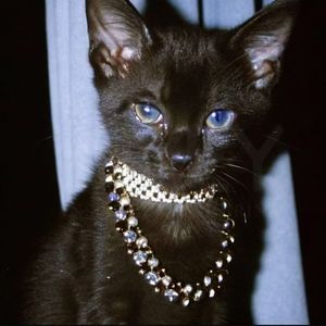 迟来的爱（Prod.Ray x ltsakaibeat）