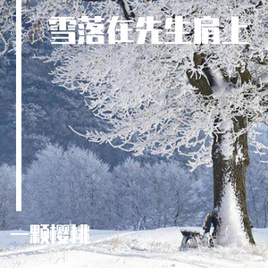 雪落在先生肩上