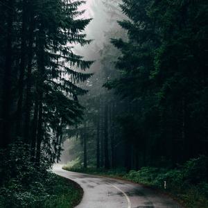 Southwind (Beat)