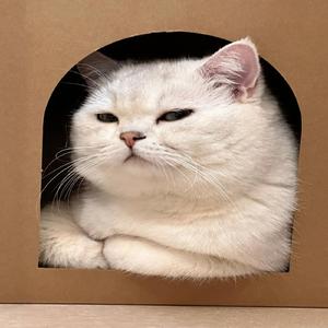 我们就在风里飞扬