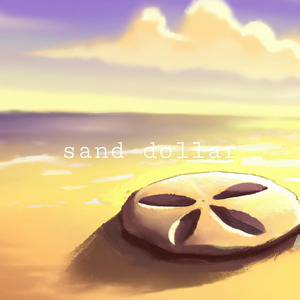 sand dollar