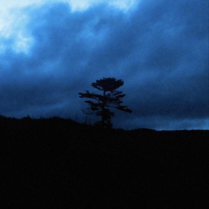 想你和我们以后