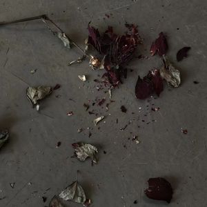 句点（Prod by Chuck H)