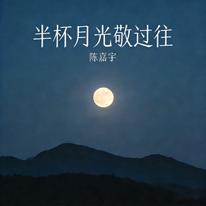 半杯月光敬过往