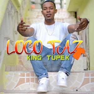LOCO TAZ