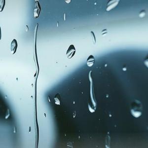 Chi ti ha portato via
