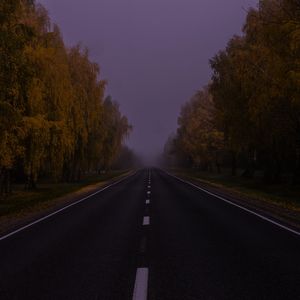 Uplifting French Horn Solo in a Field of Sunflowers with Bees Buzzing
