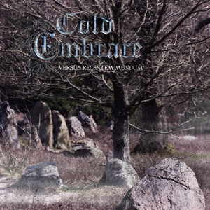 Arktiswind (Instrumental)