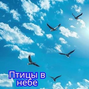 Крылья свободы