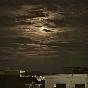 Moon