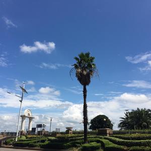 你还怕大雨吗