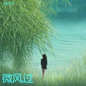 田野的风（纯音乐）