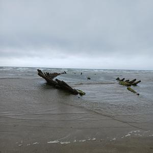 Stickshift (feat. William West-Boyle)