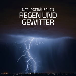 Naturgeräuschen: Regen und Gewitter (P35)