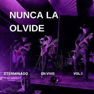 Nunca La Olvide (En Vivo)
