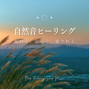 心を癒すソルフェジオ -Healing Forest- (寝落ちのピアノの森 α波→θ波→δ波)