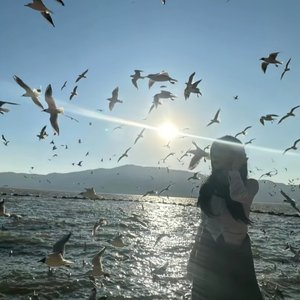 IMV_Screenshots_20260225-151613.wav