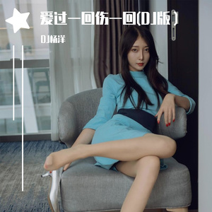 爱过一回伤一回(DJ版）