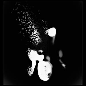 Diffidence