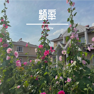 频率