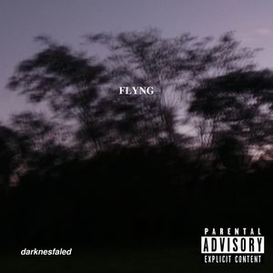 Flyng