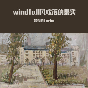 windfall风吹落的果实