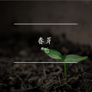 春芽