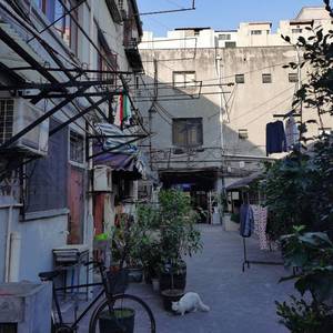 距离高考还有364天 大家加油（Prod.by #Rye/NO_BORDER）