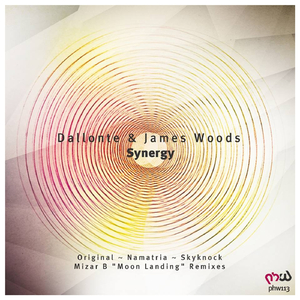 Synergy (Namatria Remix)